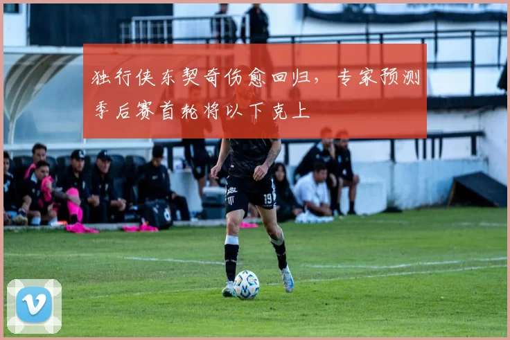 独行侠东契奇伤愈回归，专家预测季后赛首轮将以下克上