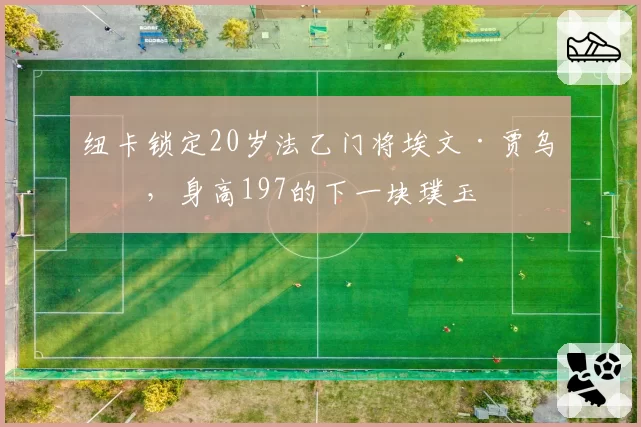 纽卡锁定20岁法乙门将埃文·贾乌恩，身高197的下一块璞玉