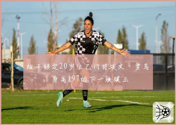 纽卡锁定20岁法乙门将埃文·贾乌恩，身高197的下一块璞玉